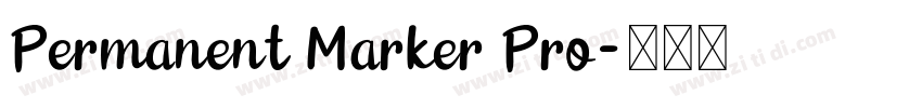 Permanent Marker Pro字体转换